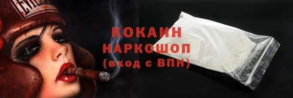 шишки Белая Холуница