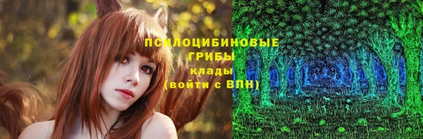 шишки Белая Холуница