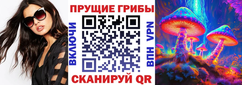 Псилоцибиновые грибы мицелий МЕГА tor Покачи